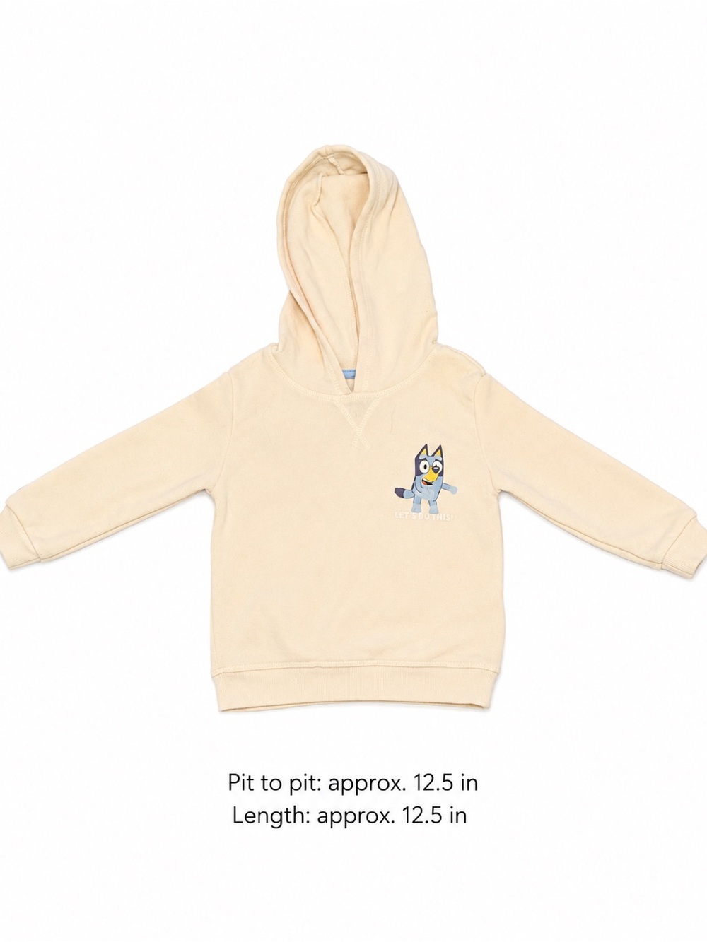 Bluey Toddler 3T Cream Family Graphic Pullover Hoodie Sweatshirt